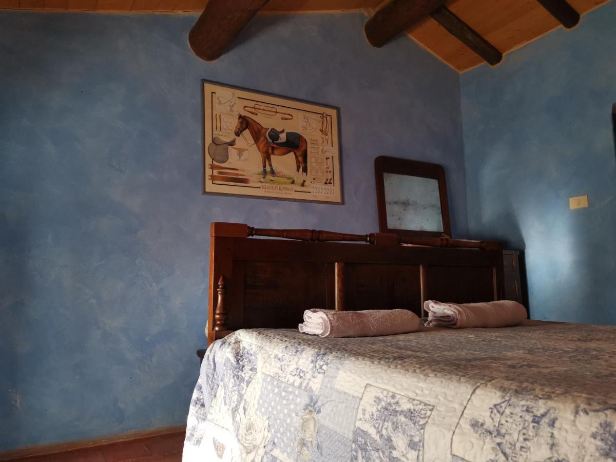 Daina Bianca Bed & Breakfast Solignano Bagian luar foto