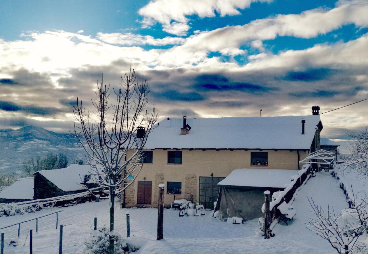 Daina Bianca Bed & Breakfast Solignano Bagian luar foto
